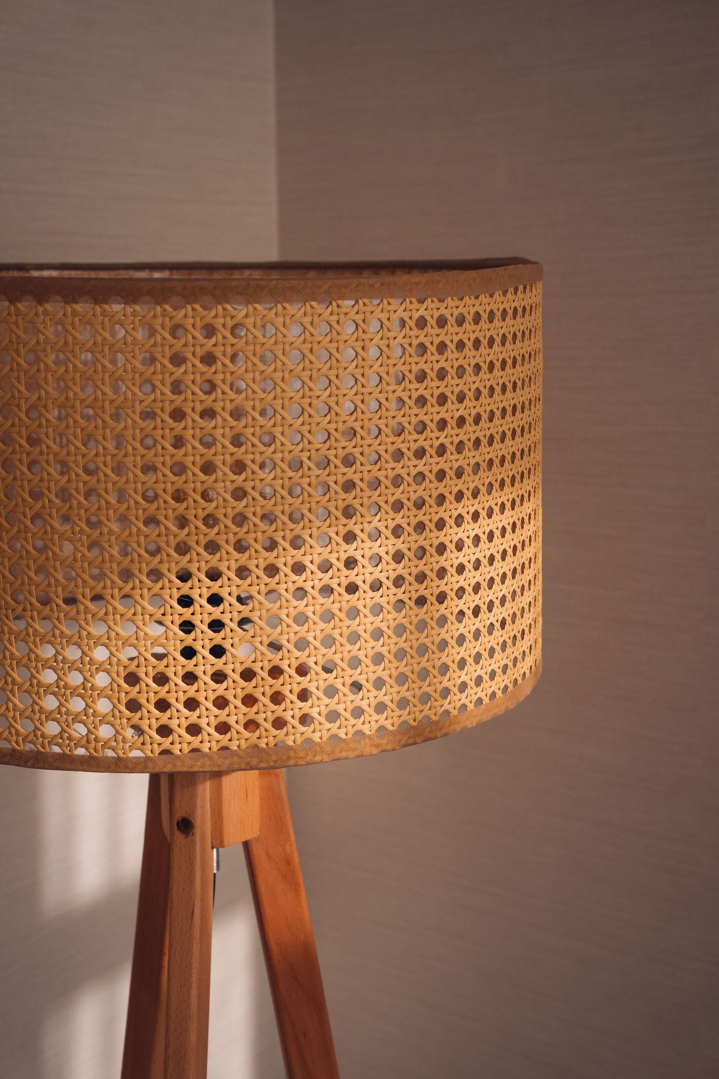 Cane Floor Lamp