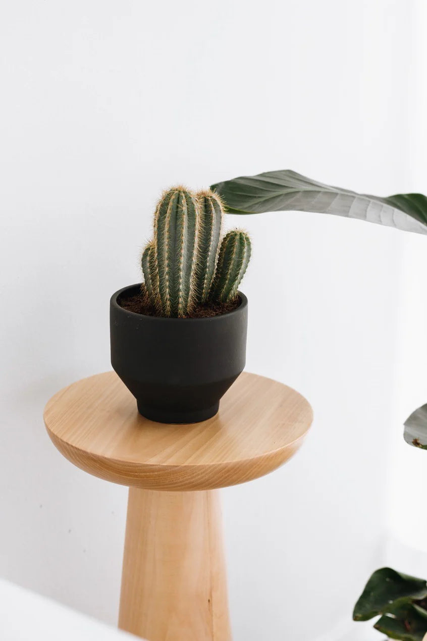 T Log Side Tables
