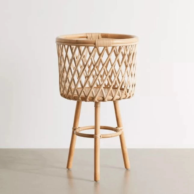 Trio Plant Set