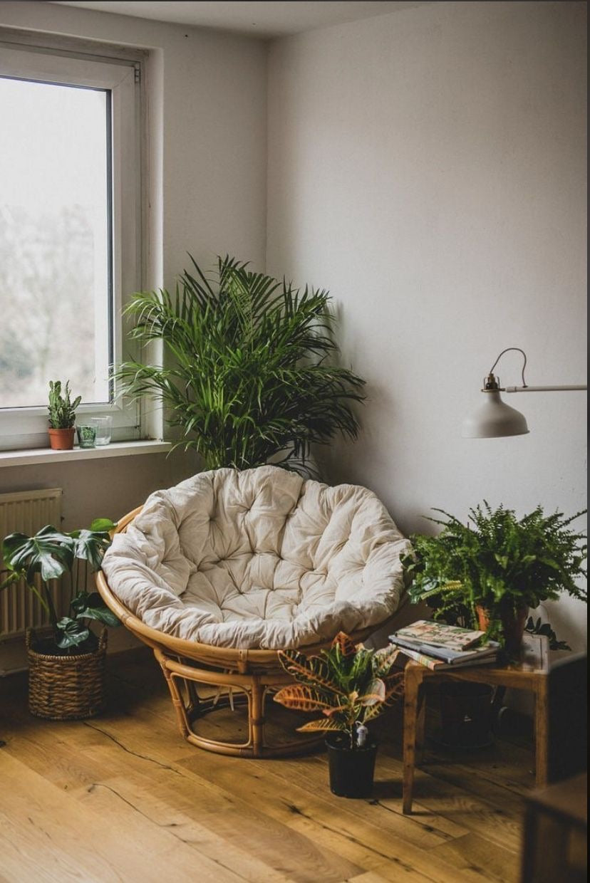 Nest Chair